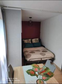 Appartement charmant et calme en bord de Loire. - Nantes - 1
