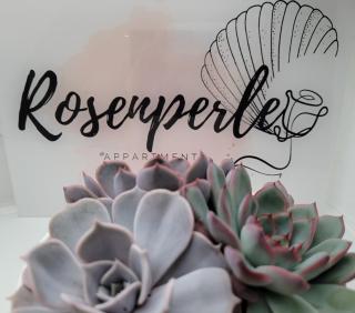Rosenperle de - FeWo in Timmendorfer Strand - Timmendorfer Strand - 1