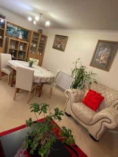 Cozy Homestay - Croydon - 2