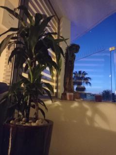 Anamor apartment 408 - Larnaca - 6
