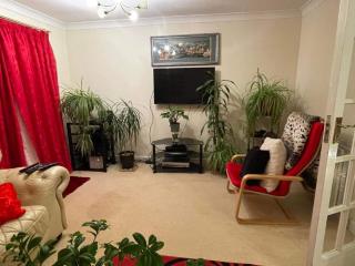 Cozy Homestay - Croydon - 3