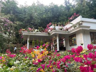 Moon moon Garden - Thamarassery - 1