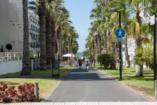 Optimist las americas - Playa de las Américas - 3