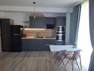 Velvet Premium Apartments Baile Felix - Baile Felix - 5