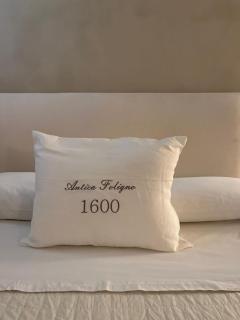 Antica Foligno 1600 magic apartment - Foligno - 8