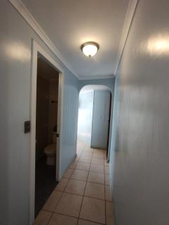 Pingüino en la roca - Concón - 3