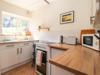 Frondeg - Newport - 1