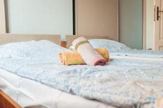 Rustic Central Belgrade Stay - Belgrado - 8