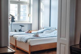 Rustic Central Belgrade Stay - Belgrado - 4