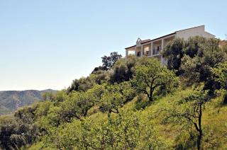Piltraque - our stunning country villa to rent in Andalucia, Spain - Colmenar - 4
