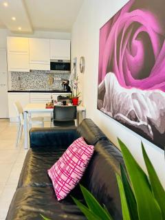 Nice apartments in the historic center - Verbania - 3