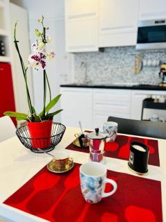 Nice apartments in the historic center - Verbania - 2