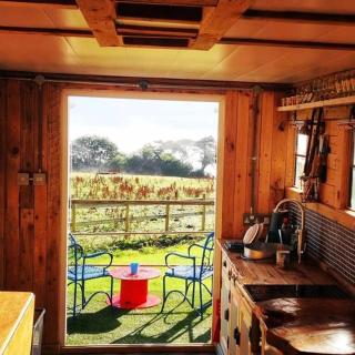 Celaeron Glamping - Aberaeron - 9