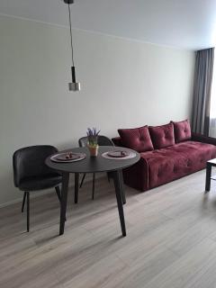 Naujai įrengtas jaukus dviejų kambarių butas - Šiauliai - 5