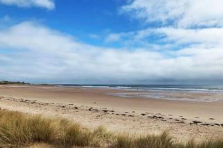 Large 5 Bedroom House - Alnwick - 1