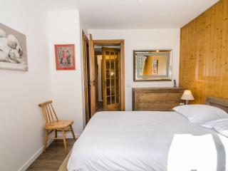 Appartement à Chamonix avec terrasse, parking, local à skis - FR-1-343-172 - Chamonix-Mont-Blanc - 1