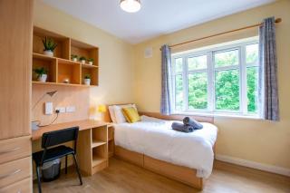 121 - City Center 4 Bedroom Townhouse, Sleeps 6 - Galway - 8