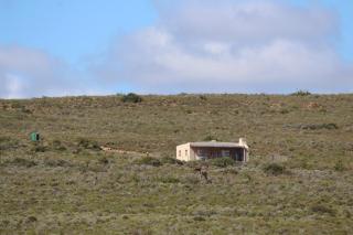 Phumelela Private Game Farm - - 3