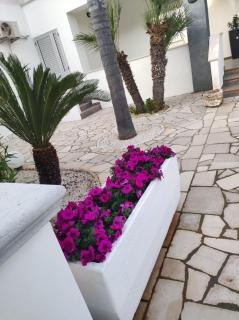 Bed and breakfast KALE ' - Porto Cesareo - 8