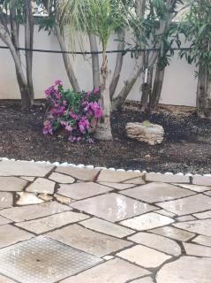 Bed and breakfast KALE ' - Porto Cesareo - 6