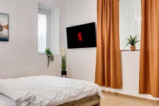 Old Town Luxurious Apartment - Arad - 4