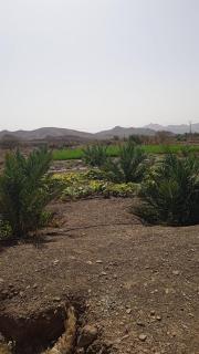 DAR SALAM - - 3