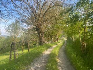 Gamberotti private valley - Santa Sofia - 4
