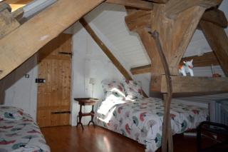 ZenBreak Sous les Toits - Saint-Jean-le-Blanc - 9