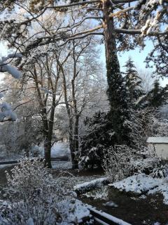 ZenBreak Sous les Toits - Saint-Jean-le-Blanc - 2