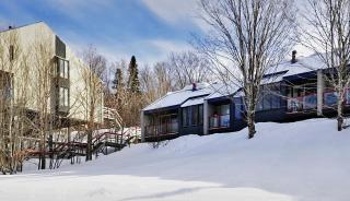 545 Chemin du Hibou - Stoneham - 9