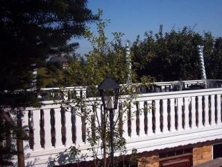 Apartment with animal zoo and sun terrace - Riedenburg - 8