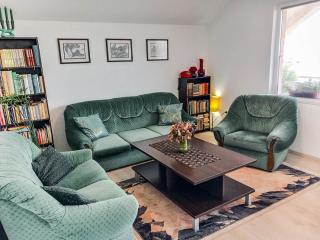 My Parents Guest House - Petrovec - 1