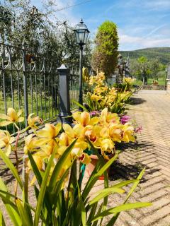 Le Coccole Del Trasimeno - Tuoro sul Trasimeno - 5