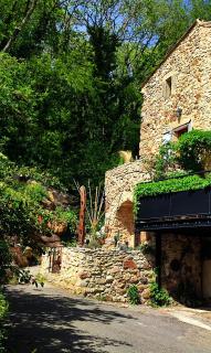 un pied dans la forêt - 5