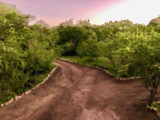 Luxury Treetop Lodge - 3