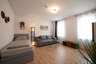 Schöne große Ferienwohnung 79m2 und 2 Bäder, Zentrumnah, 2OG - 0