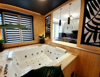 VIP APARTAMENT MALMEDA JACUZZi - Białystok - 9