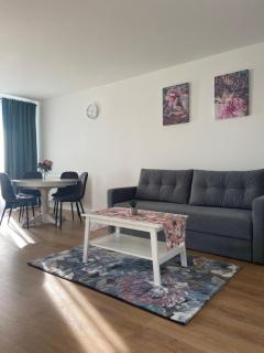 FOCUS APARTAMENT - Floreşti - 0