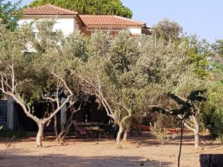 Preveza - The house by the sea - 7