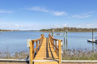 Let The Fin Begin - Oak Island - 8