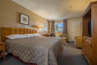Alpine Motor Inn - 2