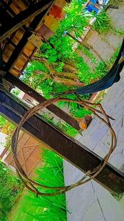 Recanto Florescer - 2