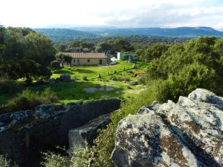 Chicchiritanos - Monti - 1