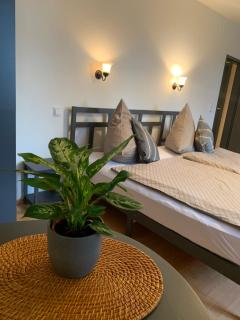 Hotel Restaurant Syrtaki - Gernsbach - 3