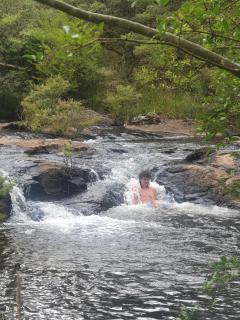 Dorrigo Bush Pepper Retreat - Deer Vale - 2