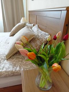 Villa Paradajs - ubytovanie pri jazere - Banská Štiavnica - 7