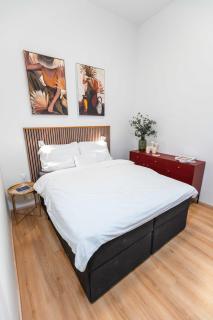 Modern Apartment French Balkony - Budapest - 6