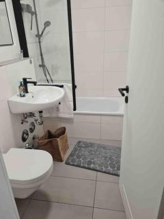 Wunderschöne 1-Zimmer Wohnung - Wiesbaden - 1