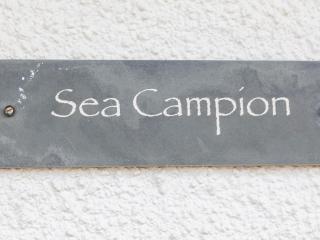 Sea Campion - 9