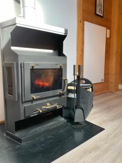 Alpapart Schneider - Alpbach - 4